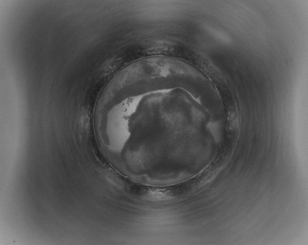 X0000113080753200909041128