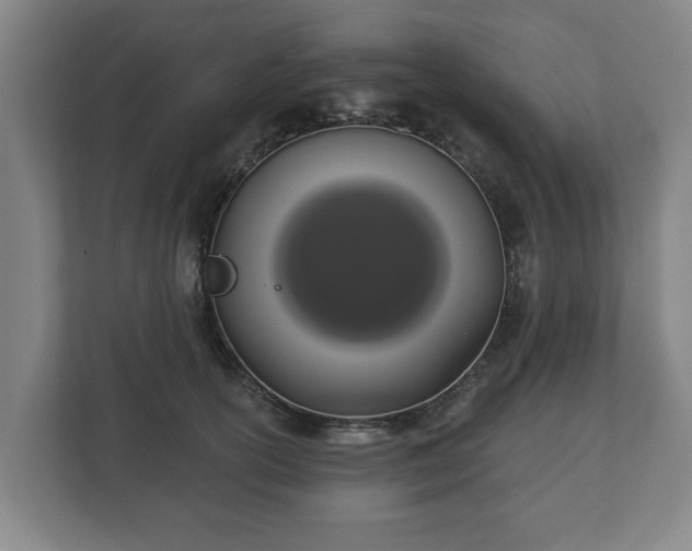 X0000113080754200909041129