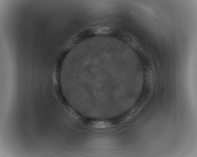 X0000113080755200909041129