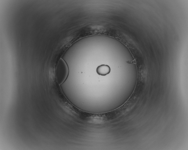 X0000113080756200909041129