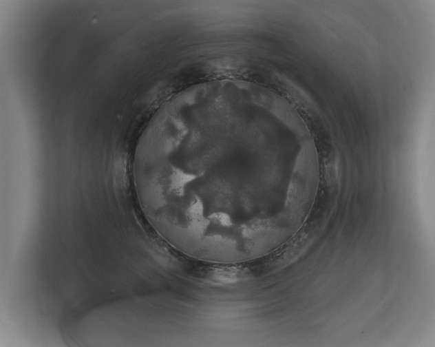 X0000113080757200909041129