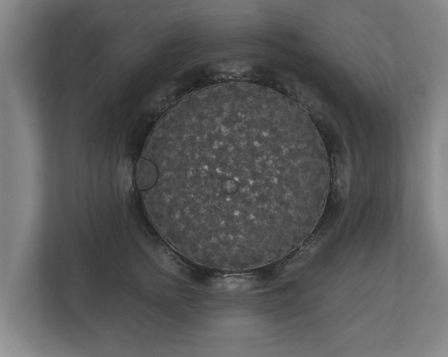 X0000113080758200909041129