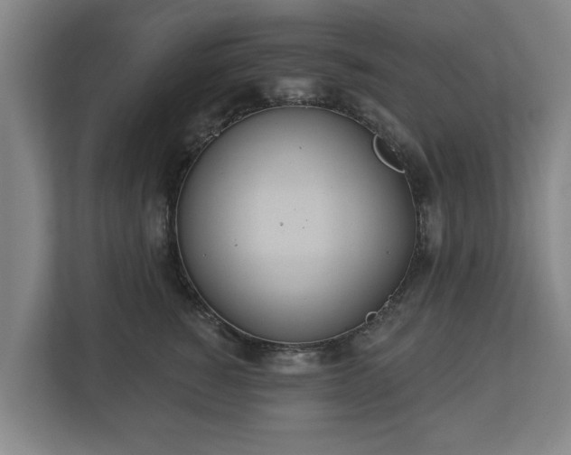 X0000113080760200909041129