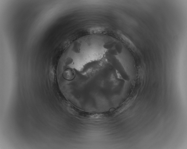 X0000113080761200909041129