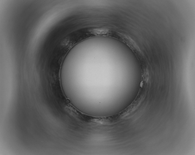 X0000113080763200909041129