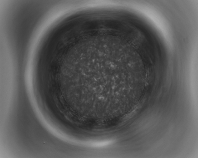 X0000113080765200909041129