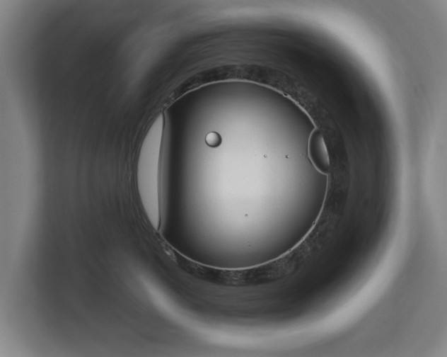 X0000113080766200909041129