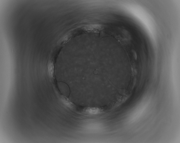 X0000113080767200909041129