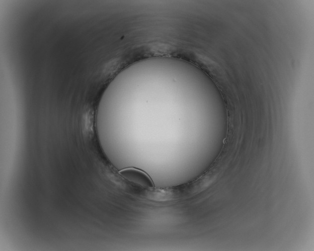 X0000113080768200909041129