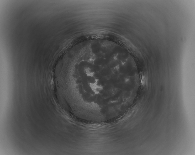 X0000113080771200909041128