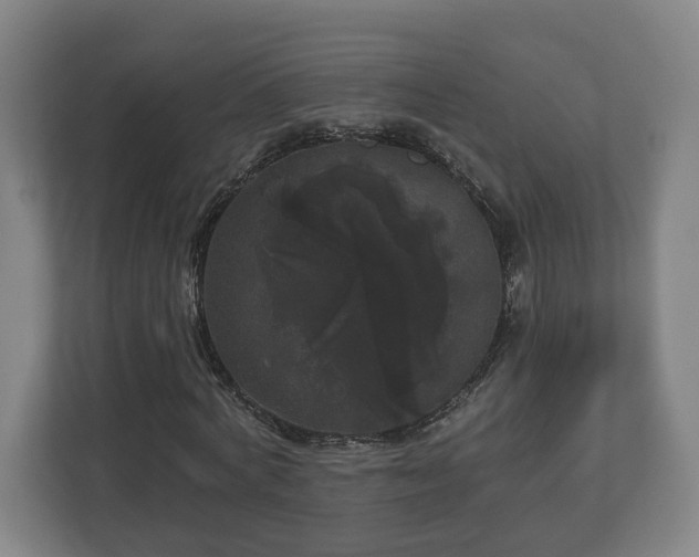 X0000113080772200909041128