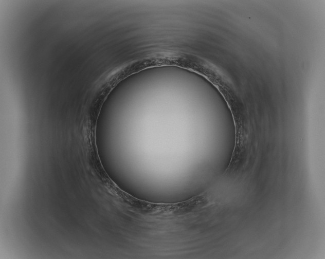 X0000113080773200909041128