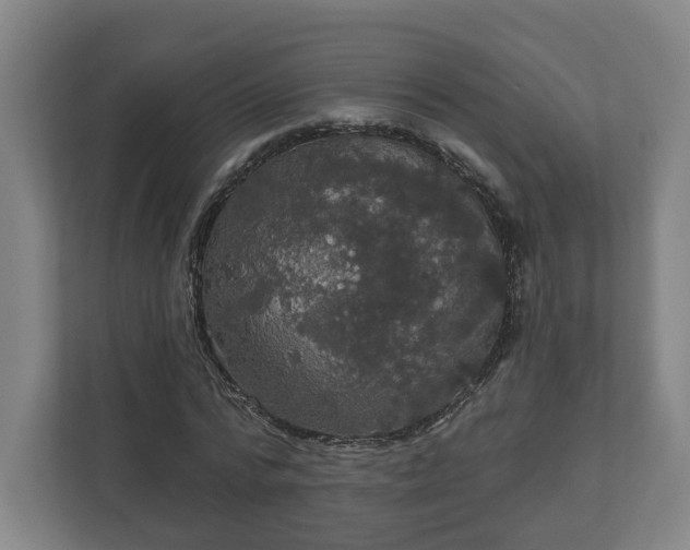 X0000113080776200909041128