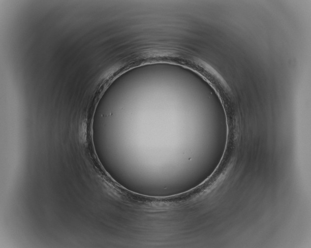 X0000113080777200909041128