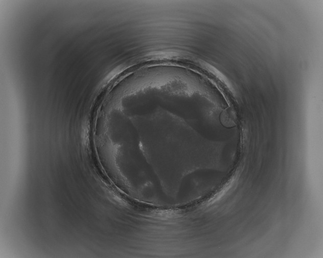 X0000113080778200909041128