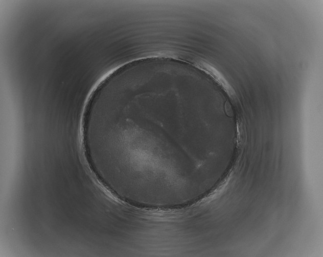 X0000113080780200909041128