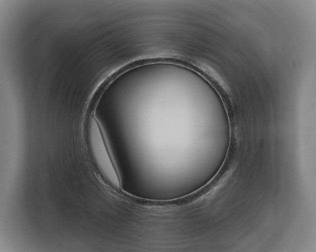 X0000113080781200909041128