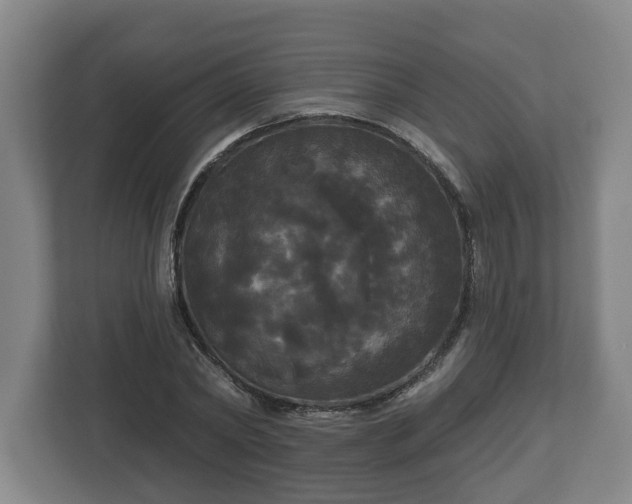 X0000113080782200909041128