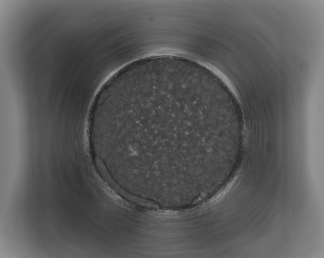 X0000113080783200909041128