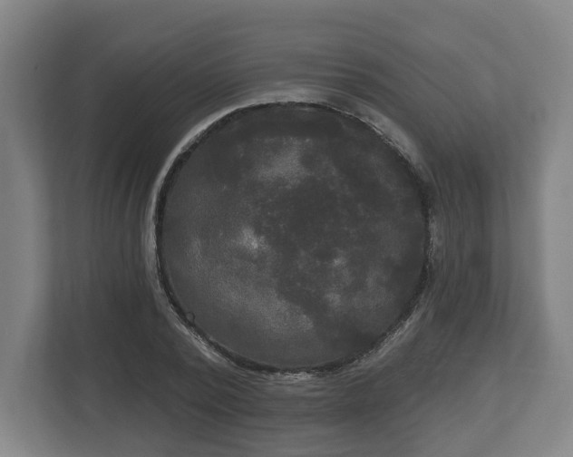 X0000113080784200909041128