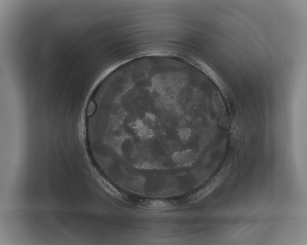 X0000113080787200909041128