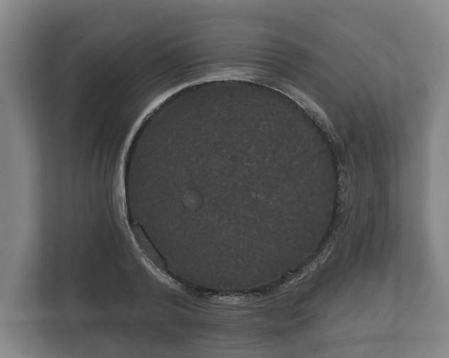 X0000113080792200909041128