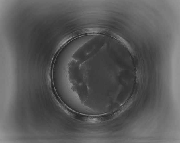 X0000113080794200909041128