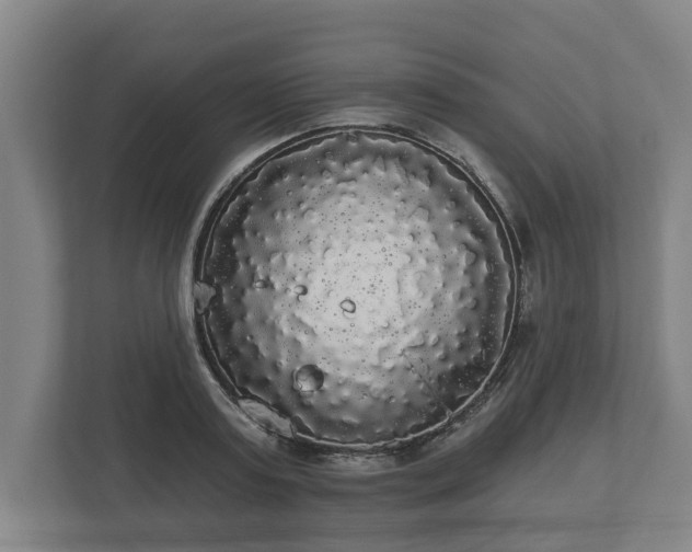 X0000113080795200909041128