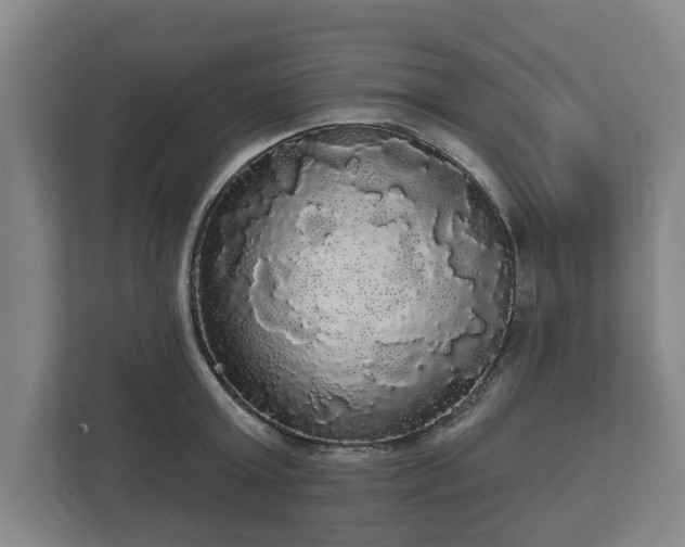 X0000113080803200909041128