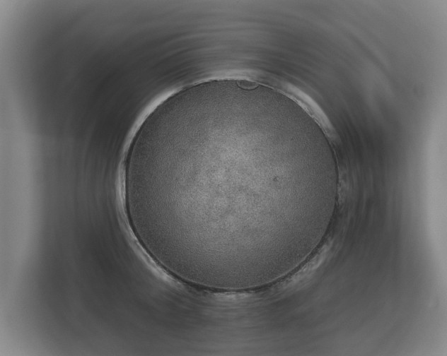 X0000113080804200909041128