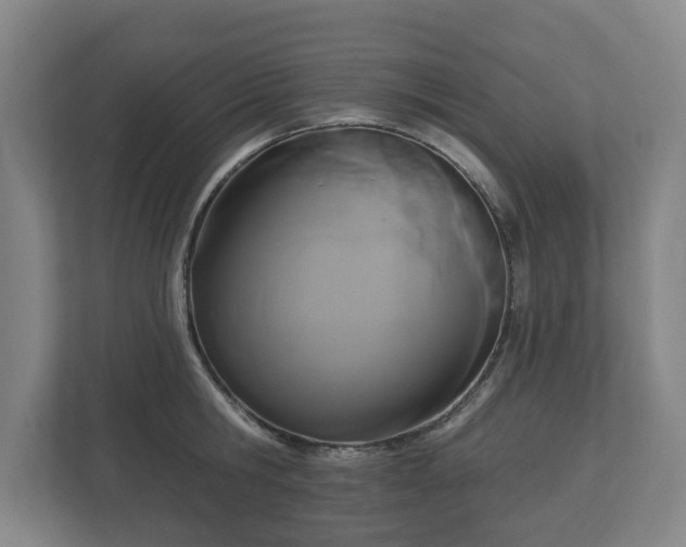 X0000113080806200909041128