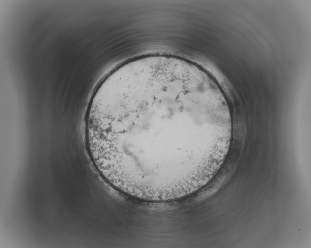 X0000113080807200909041128