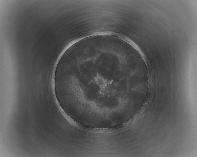 X0000113080811200909041128