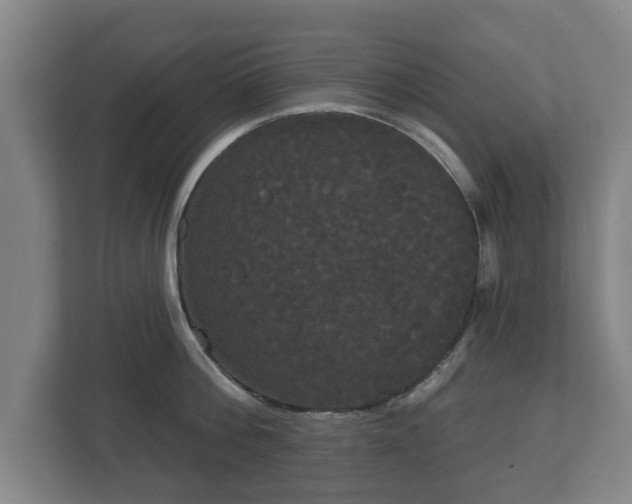 X0000113080812200909041128