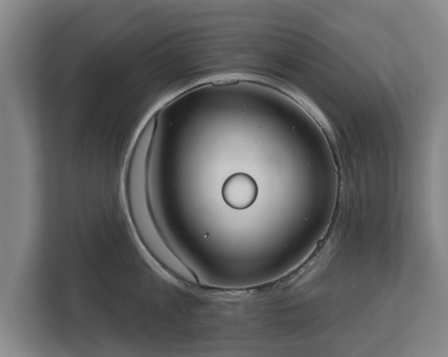 X0000113080813200909041127