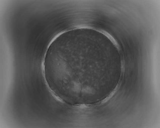 X0000113080814200909041127