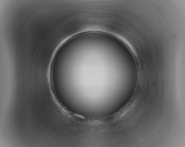 X0000113080815200909041127