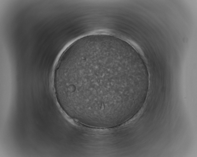 X0000113080816200909041127