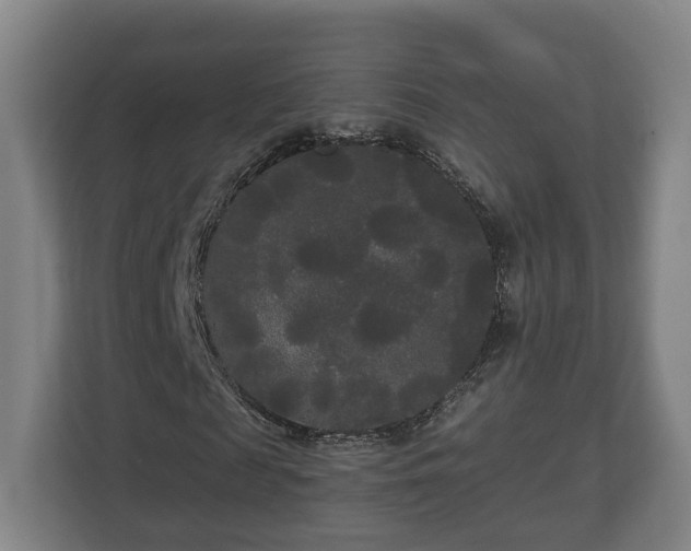 X0000113080817200909041127