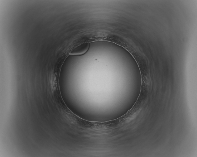 X0000113080818200909041127