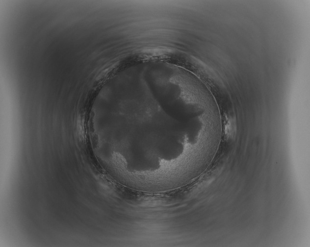 X0000113080819200909041127