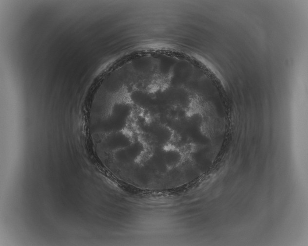 X0000113080823200909041127