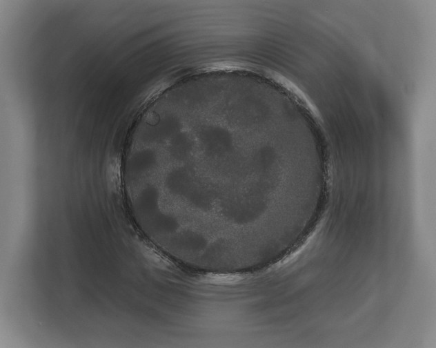 X0000113080825200909041127