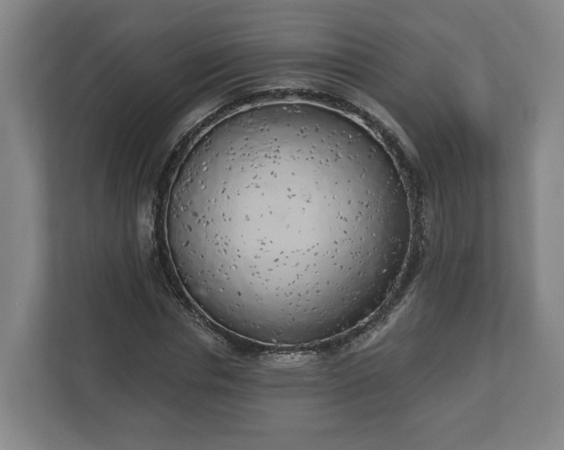 X0000113080826200909041127