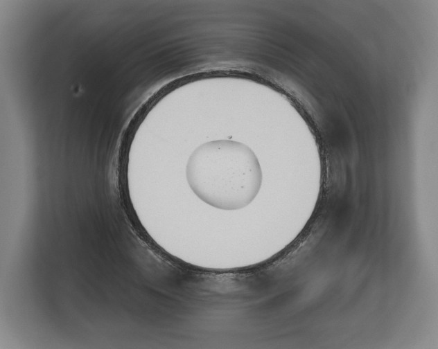 X0000113080828200909041127