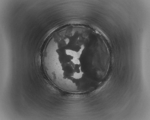 X0000113080829200909041127