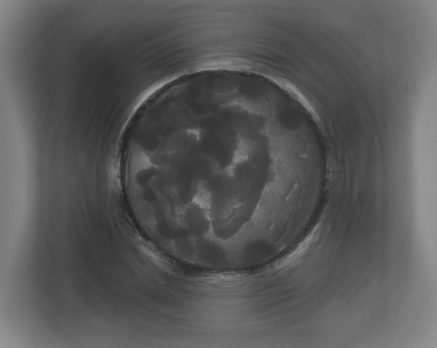 X0000113080830200909041127