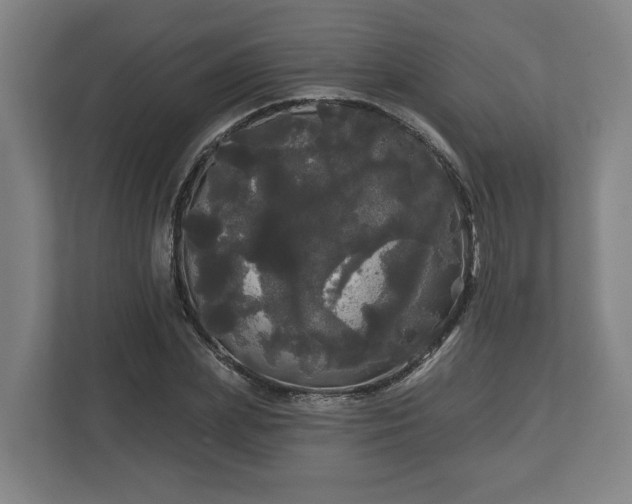 X0000113080831200909041127