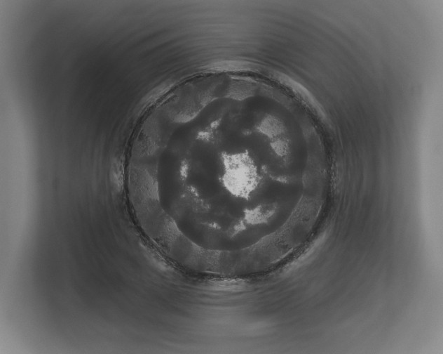 X0000113080833200909041127