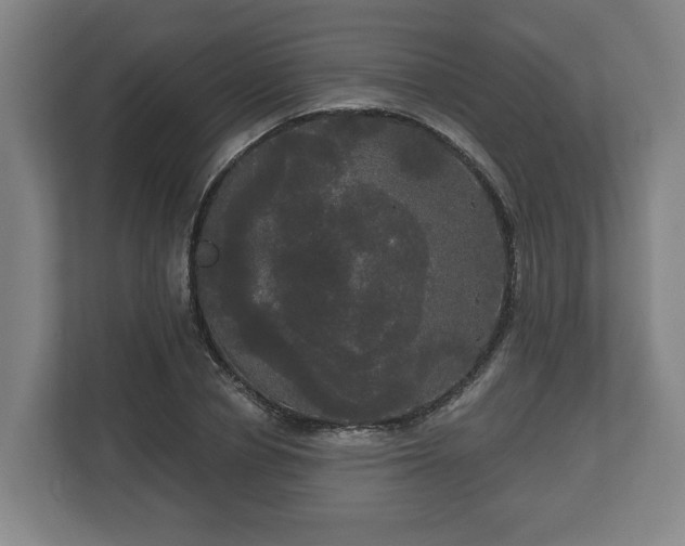 X0000113080834200909041127